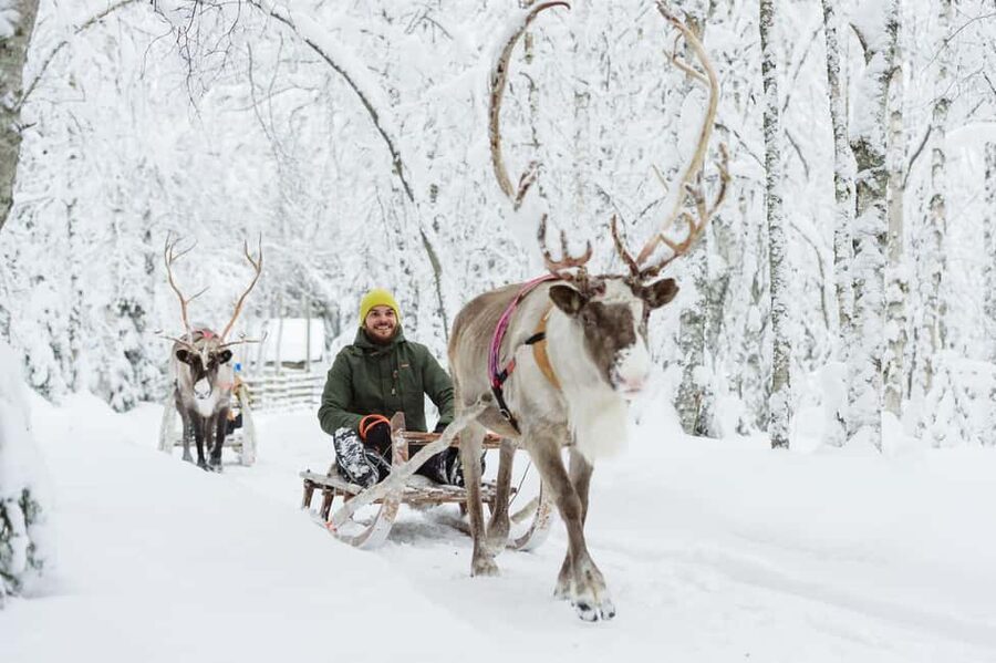 From Rovaniemi: Reindeer Farm Visit with Sleigh Ride - Meet the herd, learn the Sámi connection, and feed reindeer up close