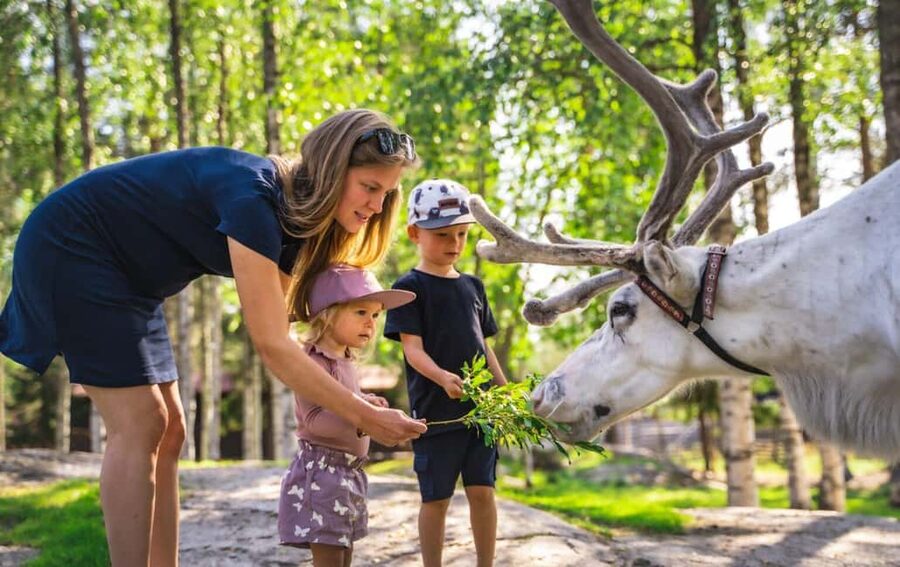 From Rovaniemi: Reindeer Farm Visit with Sleigh Ride - Inside the kota hut: stories, warmth, and context