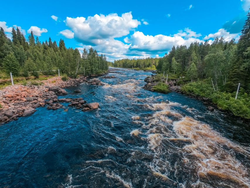 From Rovaniemi: Vikaköngäs Forest Hiking Tour - Lapland in 2.5 Hours, Without the Hassle