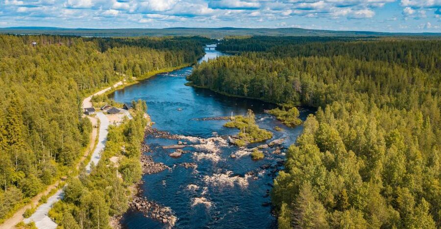 From Rovaniemi: Vikaköngäs Forest Hiking Tour - The Hanging Bridge Moment: When the Water Gets Personal