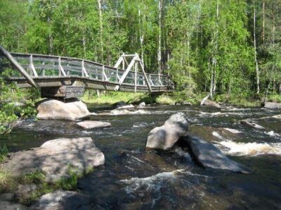 Vikaköngäs Forest Hiking Tour
