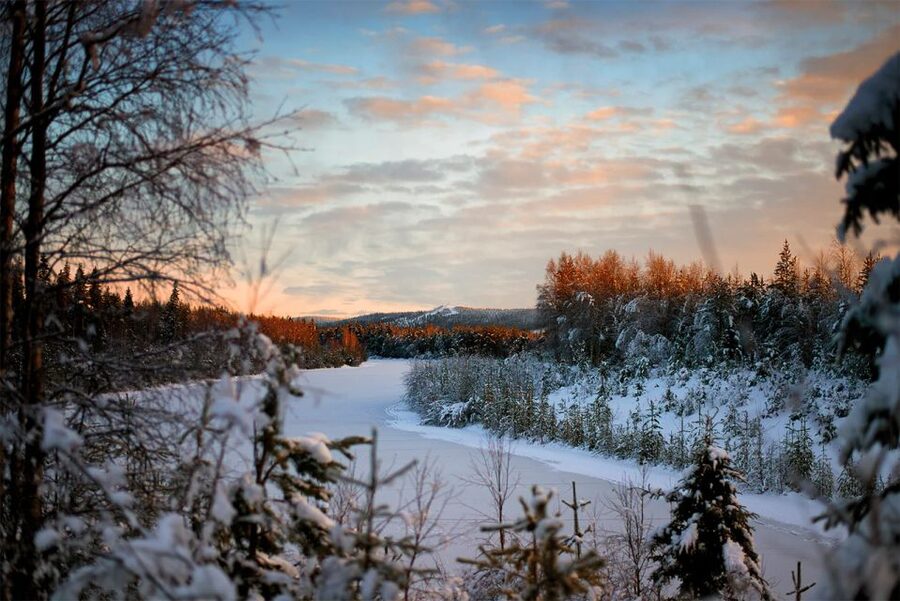 From Rovaniemi: Vikaköngäs Forest Hiking Tour - Guide Quality Is the Real Product Here