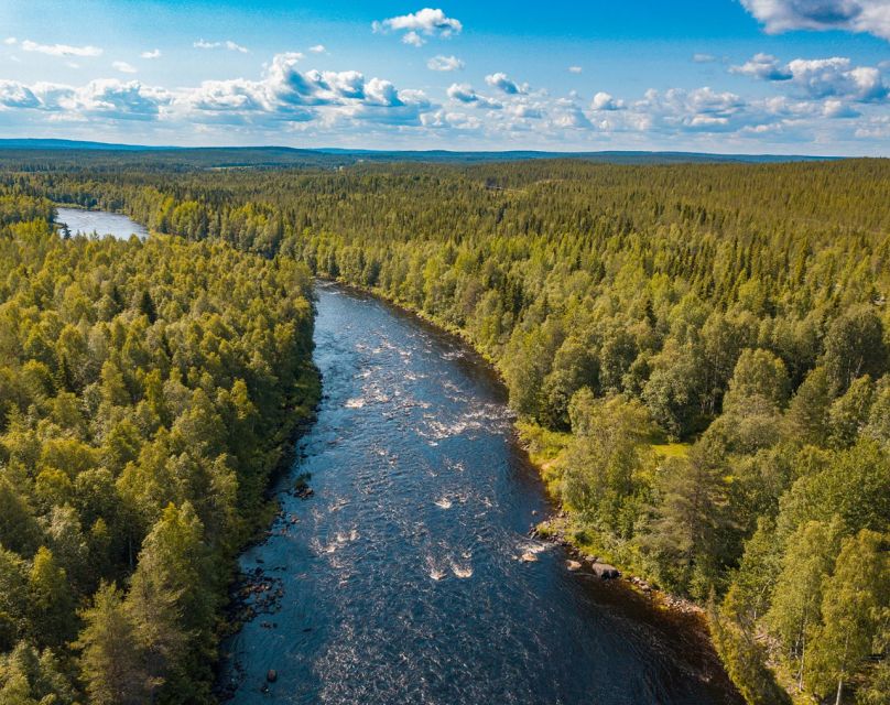 From Rovaniemi: Vikaköngäs Forest Hiking Tour - Walking Distance, Pace, and What to Wear