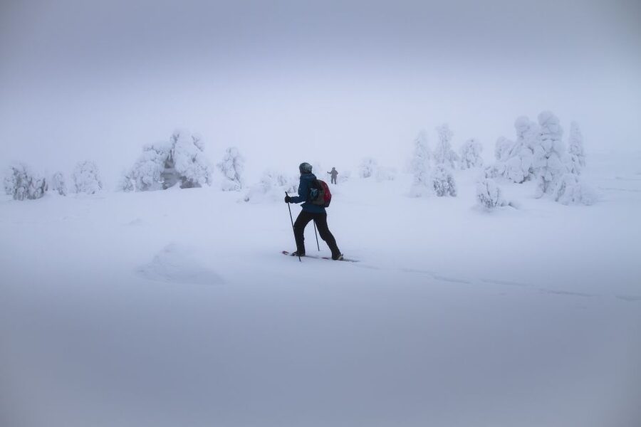 From Rovaniemi: Winter Wonderland Hike with a Hot Drink - Why This Moonlike Winter Hike Outside Rovaniemi Feels Different