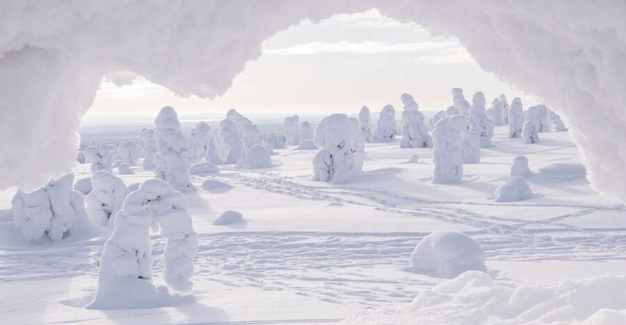 From Rovaniemi: Winter Wonderland Hike with a Hot Drink - What You Get From the Guide (Beyond Just Leading the Way)