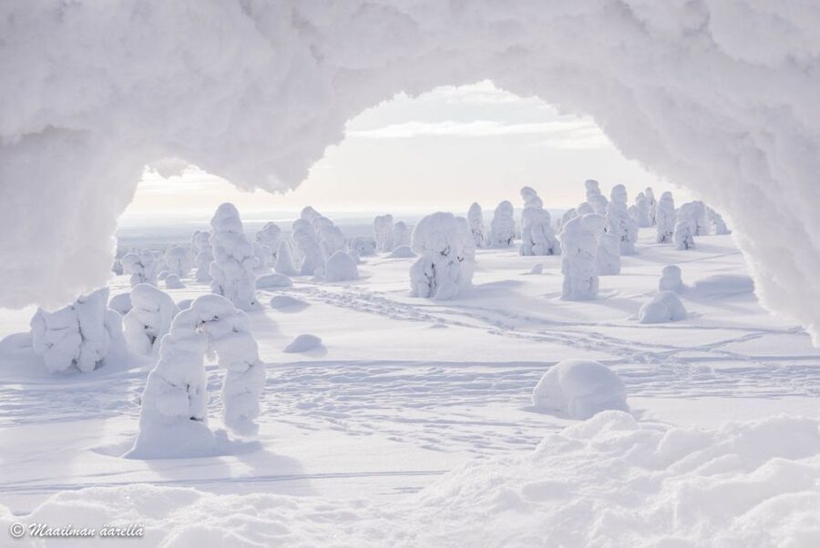 From Rovaniemi: Winter Wonderland Hike with a Hot Drink - Hot Drink, Cookies, and Photo Time: How to Make the Most of the Stops