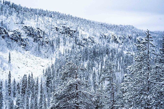 Frozen Waterfalls of Korouoma Canyon tour with Pro Photos & BBQ - The hike through protected wilderness: pace, safety, and winter gear