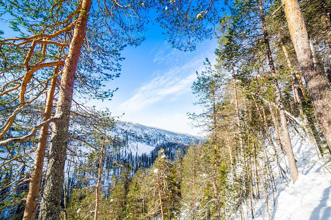 Frozen Waterfalls of Korouoma Canyon tour with Pro Photos & BBQ - BBQ lunch in the wild: staying warm while you eat