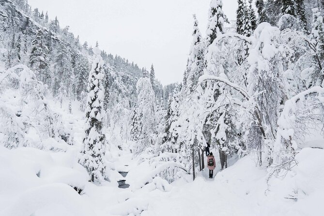 Frozen Waterfalls of Korouoma Canyon tour with Pro Photos & BBQ - Guides like Gabriela, Jorge, Marcus, Oren, and the rest: what you gain besides directions