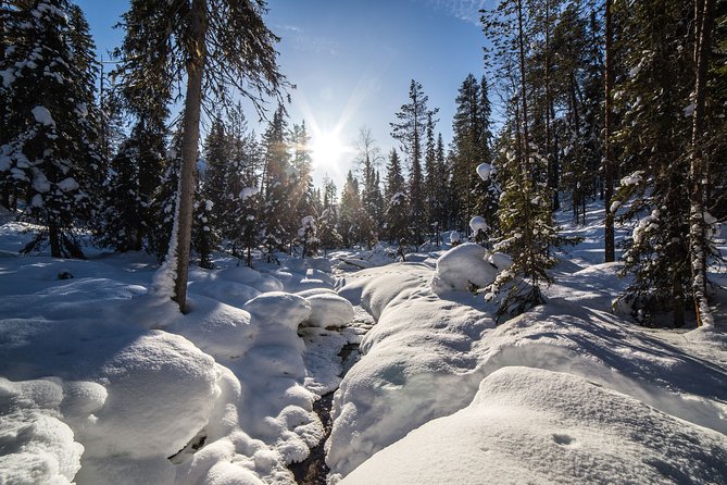 Frozen Waterfalls of Korouoma Canyon tour with Pro Photos & BBQ - Value for your money: why this price can be fair for Lapland winter