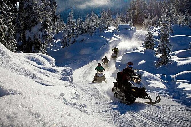 Full Day Snowmobile Safari - Guides and Language: English Offered, Not Always What You Assume