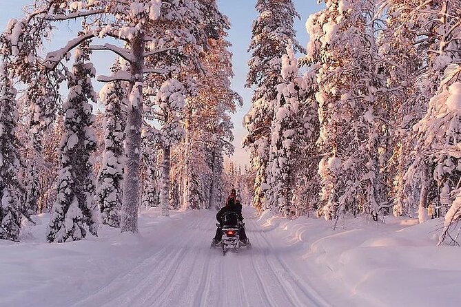 Full Day Snowmobile Safari - Price and Value Check for $358.28 Per Person