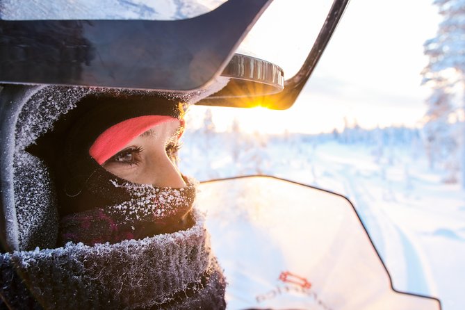 Full Day Snowmobile Safari into the Lappish Wilderness in Rovaniemi - Key Highlights to Know Before You Go