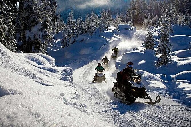 Full Day Snowmobile Safari - Arctic Forest Riding: What the Guided Day Feels Like