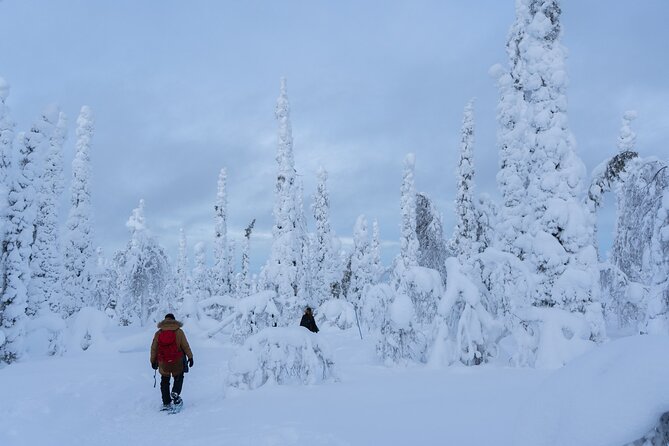 Full-Day Snowshoeing Adventure in Amethyst Mine Pyhä Luosto - A Snowshoe Day Built Around One Memorable Destination