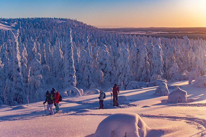 Full-Day Snowshoeing Adventure in Amethyst Mine Pyhä Luosto - Lunch Around the Fire: Fuel for the Final Stretch