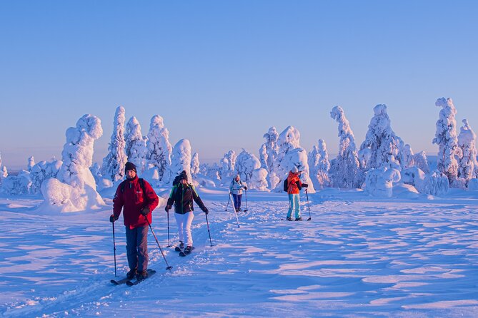 Full-Day Snowshoeing Adventure in Amethyst Mine Pyhä Luosto - What to Pack and How to Prepare for a 7.5-Hour Winter Day