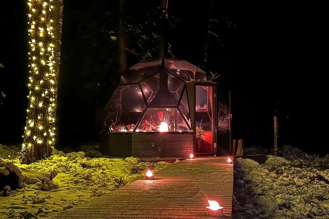 Glass Igloo Campfire Dinner under Northern Lights - Campfire Vibes and Glögi: Warmth Without the Fuss