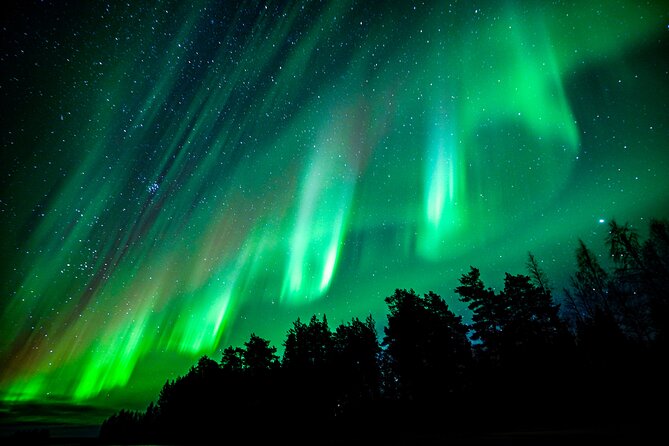 Guaranteed Northern Lights Hunting Adventure in Lapland - Price and value: what $238.85 gets you