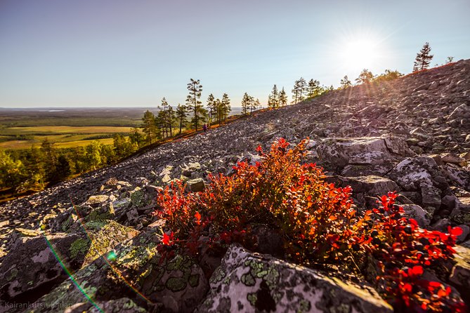 Guided easy hike in Finland deepest gorge in Pyhä-Luosto National Park - The easy hike plan, timing, and what the trail experience feels like