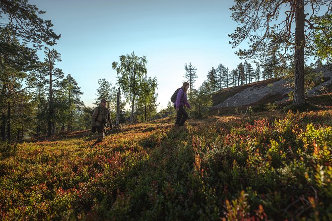 Guided easy hike in Finland deepest gorge in Pyhä-Luosto National Park - Sámi culture context: learning the human layer alongside the rock