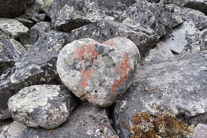 Guided easy hike in Finland deepest gorge in Pyhä-Luosto National Park - Price and value for an easy guided hike with pickup