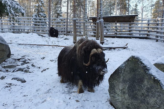 Guided Ranua Wildlife Park tour with Lunch, Small group adventure - Ranua Wildlife Park in Lapland: What Makes It Different