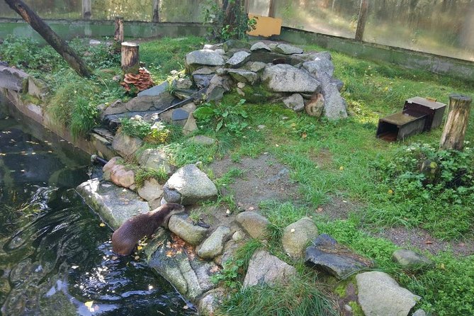 Guided Ranua Wildlife Park tour with Lunch, Small group adventure - Weather, Dress, and Practical Tips for Arctic Days