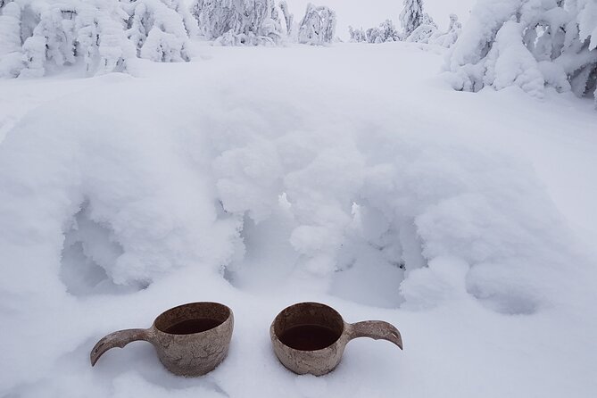 Guided reindeer farm visit and one hour sledge safari - Guides and small group dynamics: why you can actually hear the story