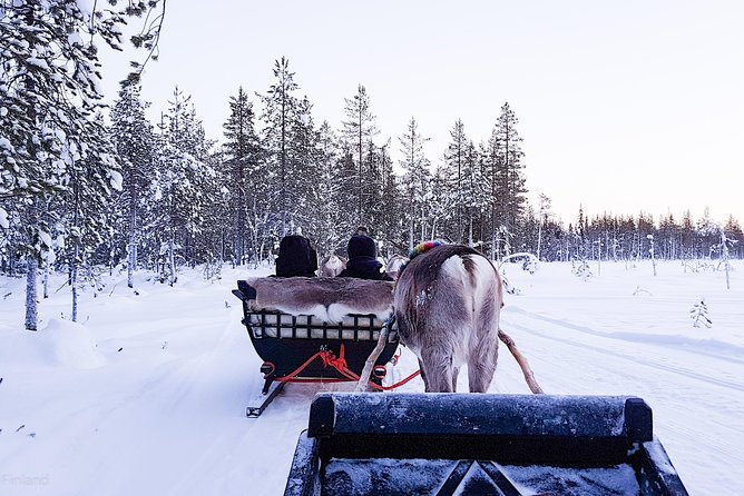 Guided reindeer farm visit and one hour sledge safari - Price and value: what your $156.03 is actually paying for