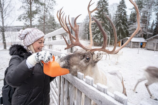 Half-Day Experience in Local reindeer farm in Lapland - Who this works best for, and who might want a different style