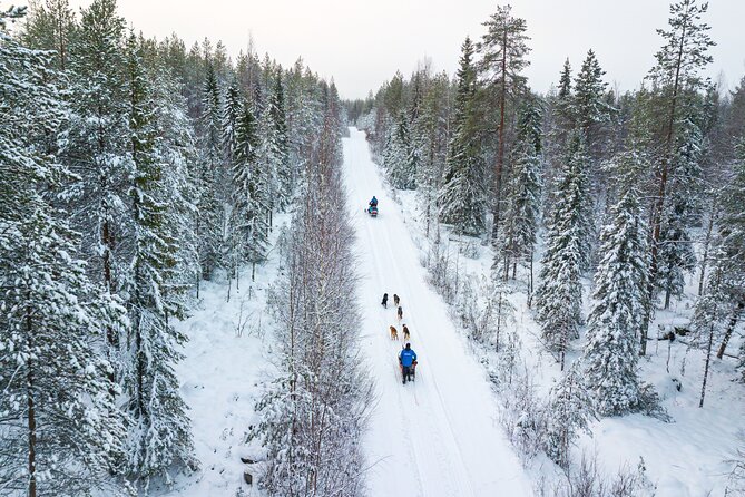 Half-Day Husky Safari and Salmon Ice Fishing Experience - The private-lake salmon moment, and what to do if you catch one
