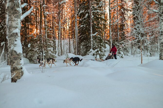 Half-Day Husky Safari and Salmon Ice Fishing Experience - The kota snack and warm-up after the sled ride