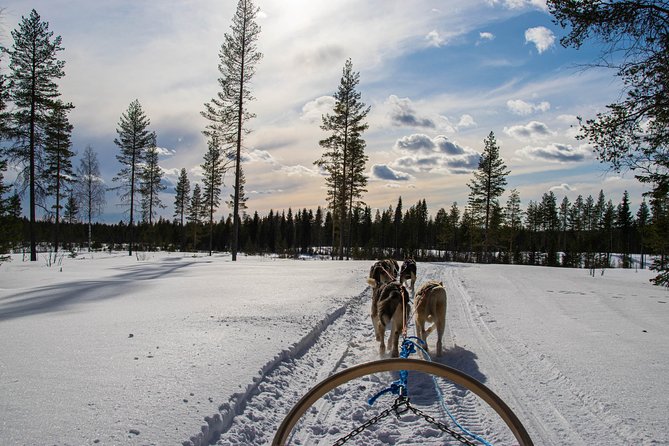 Half-Day Husky Safari and Salmon Ice Fishing Experience - Pickup, drive time, and how to plan your morning