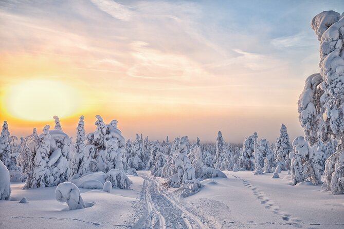Hike to Frozen Waterfalls of Korouoma Including BBQ Lunch from Rovaniemi - Price and value: what $108.07 buys you in real terms