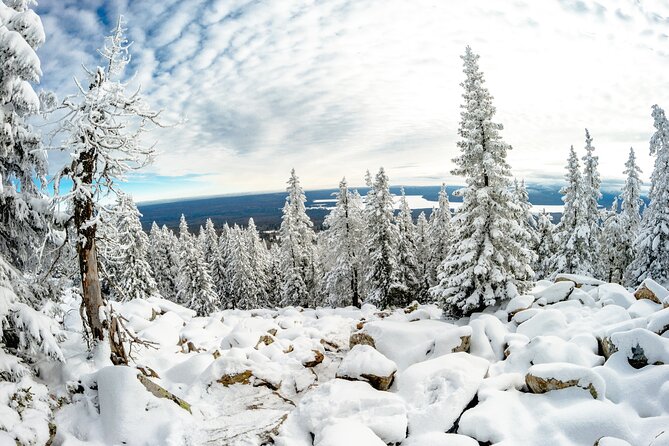 Hike to Frozen Waterfalls of Korouoma Including BBQ Lunch from Rovaniemi - Reliability and day-of surprises: how to set expectations right