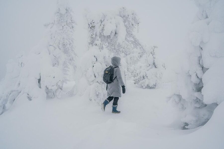 Hiking in Riisitunturi National Park with Photographer - Key things to know before you go