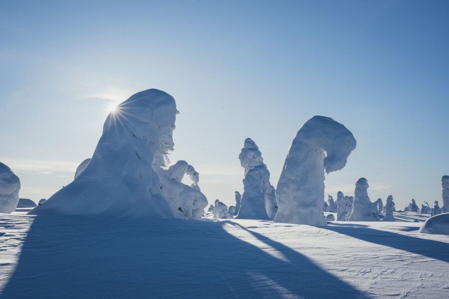 Hiking in Riisitunturi National Park with Photographer - Winter photo advice that fits this kind of guided hike