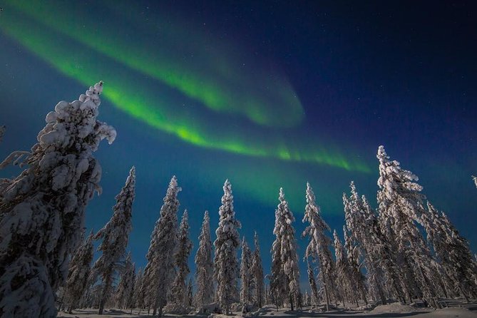 Hunting Northern Lights with Husky - Husky Sleigh Ride in the Winter Dark: The Real Star of the Show
