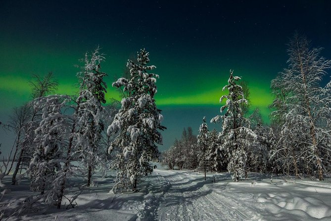 Hunting Northern Lights with Husky - The Northern Lights Hunt: What You Actually Get
