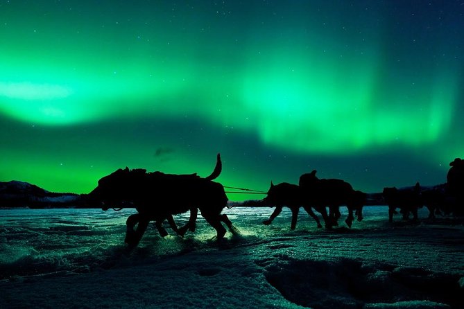 Hunting Northern Lights with Husky - Logistics That Shape Your Night: Pickup, Waiting, and Transfers