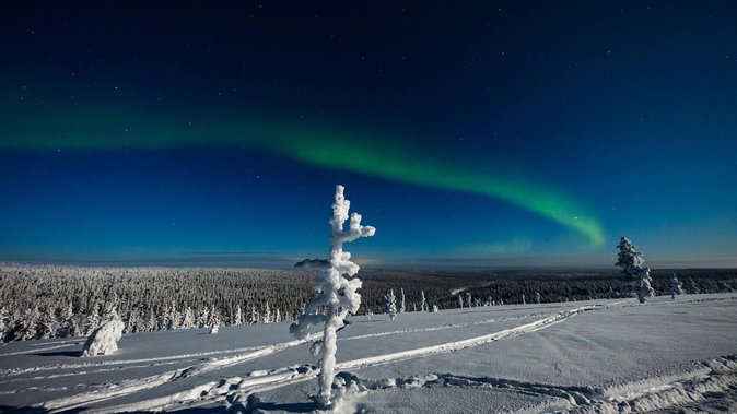 Hunting Northern Lights with Husky - Who This Husky Northern Lights Night Is Best For