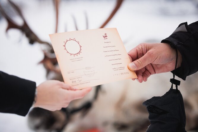 Husky and Reindeer Experience With Snowmobiling - The 1-hour snowmobile safari, and what you will realistically ride