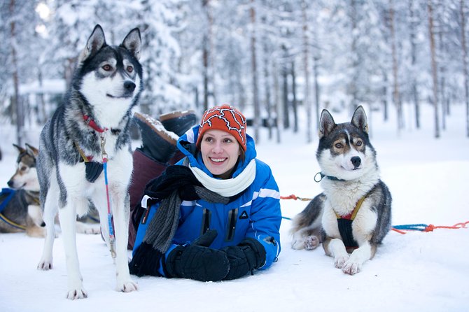 Husky Safari from Rovaniemi Including a Husky Sled Ride - Quick Take: 5 things to know before you go