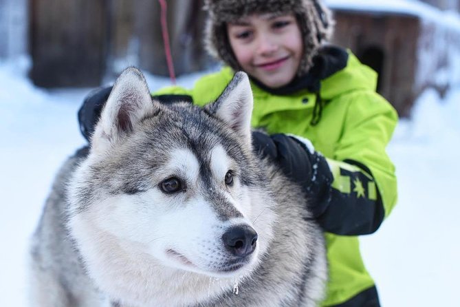 Husky Safari from Rovaniemi Including a Husky Sled Ride - Transport time and why some days feel longer than others