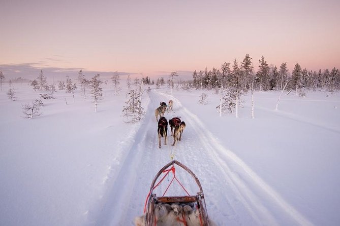 Ice Fishing and Husky - Key Things That Make This Tour Work Well