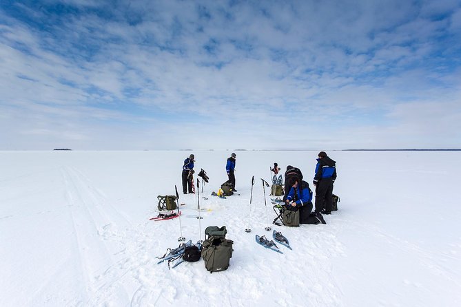 Ice Fishing and Husky - Bonfire Warmth and Grilled Salmon, Even If Fish Don’t Cooperate