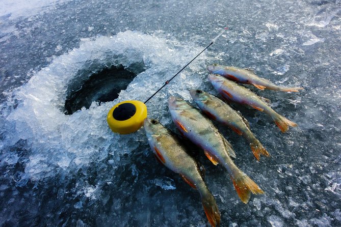 Ice Fishing and Husky - Best Fit: Who Should Book This Tour (and Who Might Rethink It)