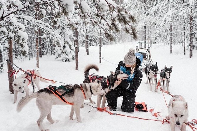 Ice Fishing and Husky - Meeting at Nordic Unique Travels, Then Heading Out Cold and Ready