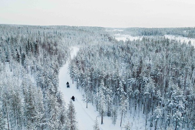 Ice Fishing and Snowmobile Safari Combo in Lapland - Campfire BBQ and Hot Drinks: When the Cold Turns Cozy